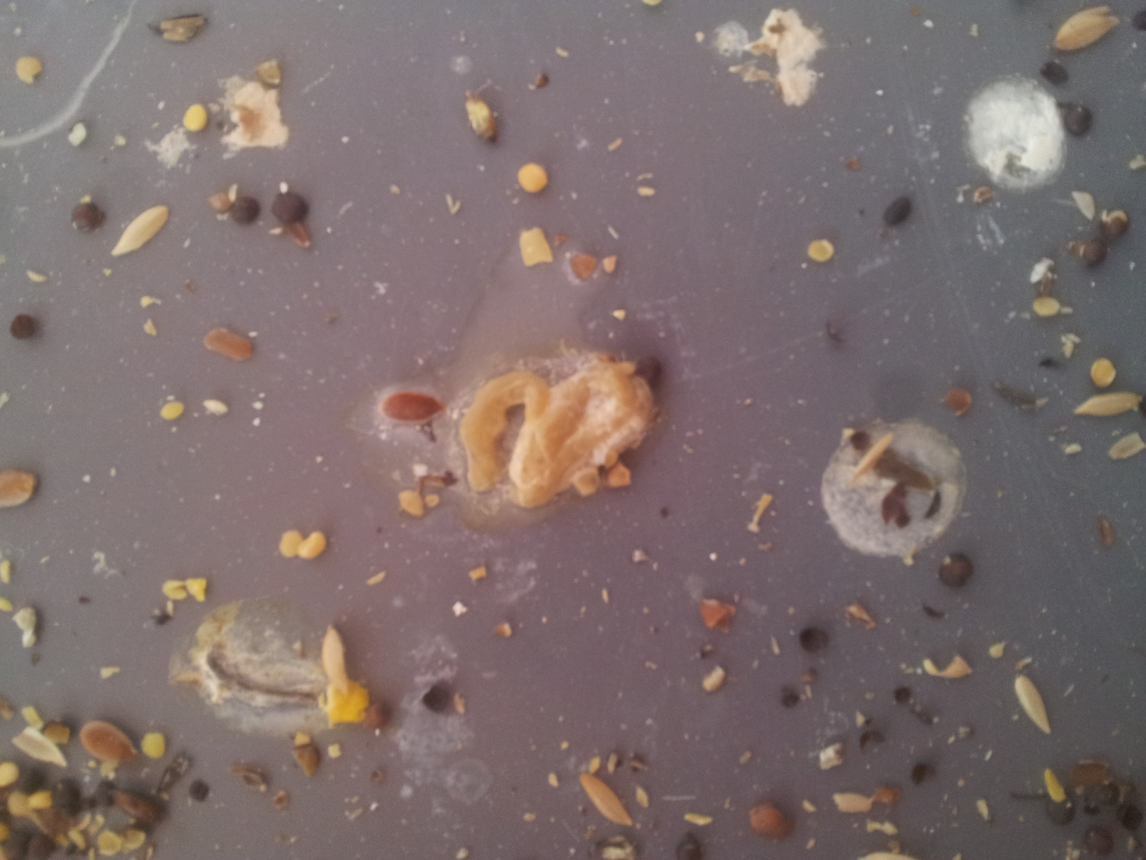 2013-01-02 15.18.02.jpg