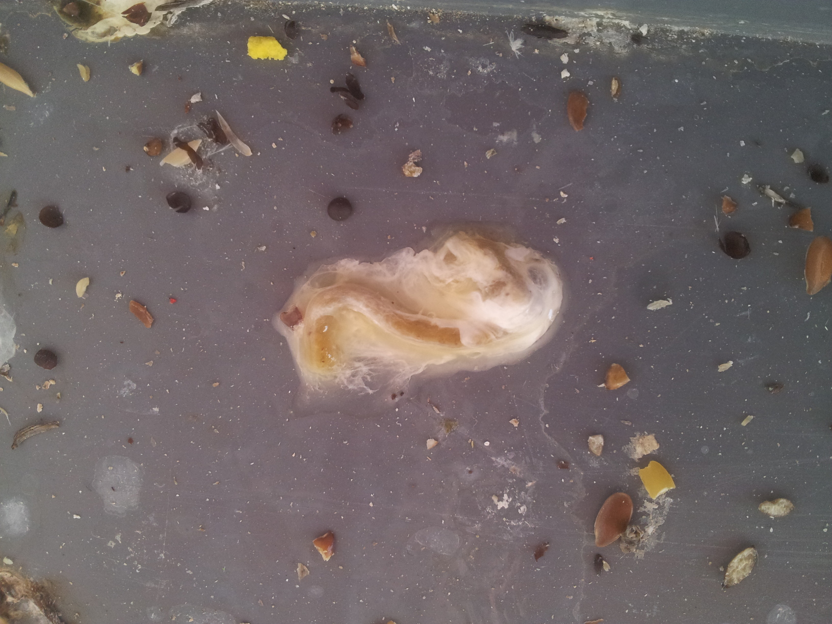 2013-01-02 15.18.12.jpg