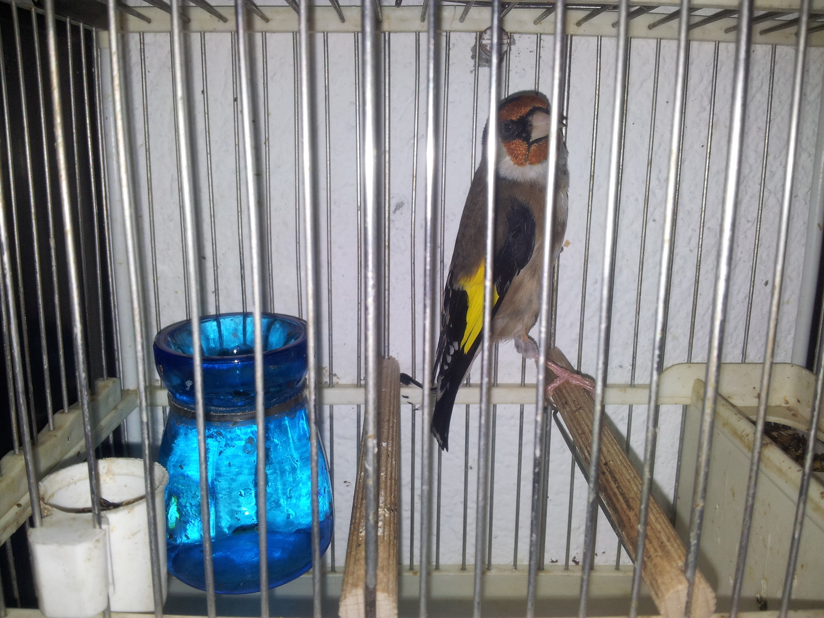 20130102_180223.jpg