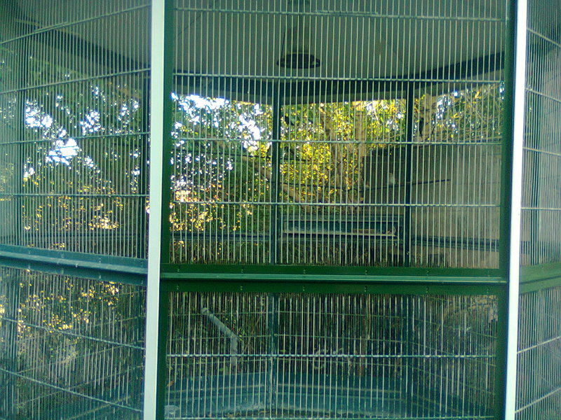 Foto0012.jpg