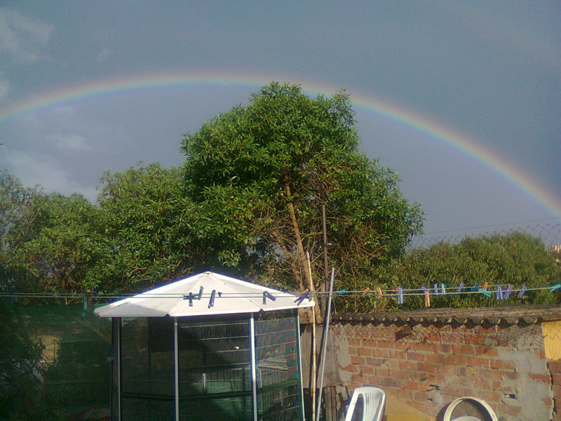 Foto0016.jpg