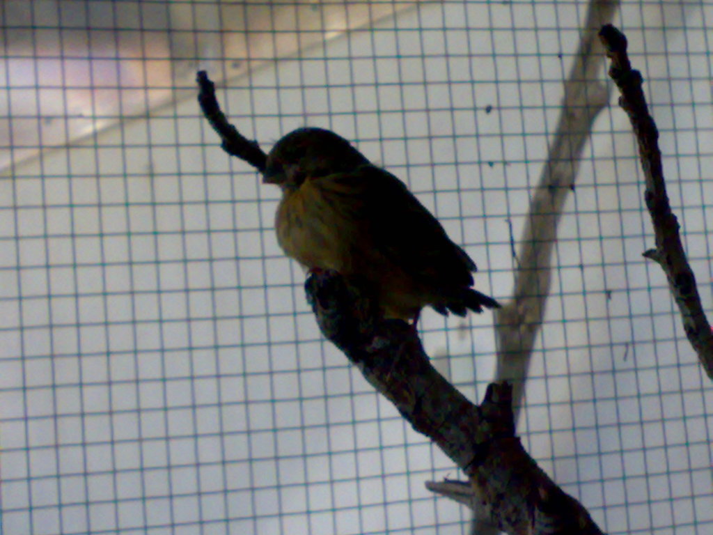 07072008185.jpg
