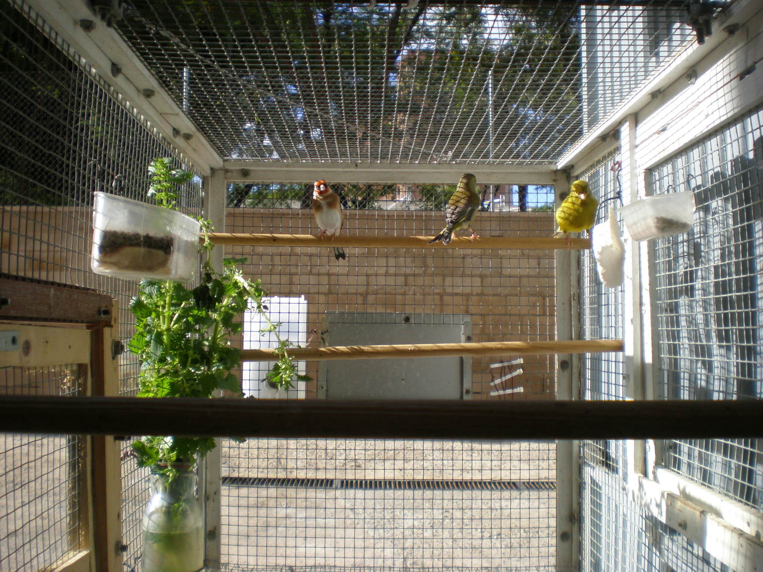 P1031389.JPG