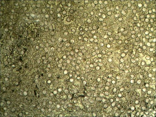 TS_04_03_23_51_40.jpg