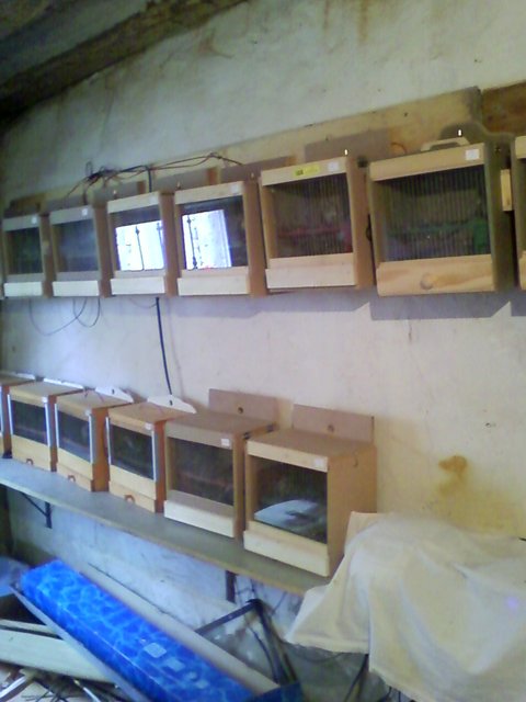 P01-09-09_16.43.jpg