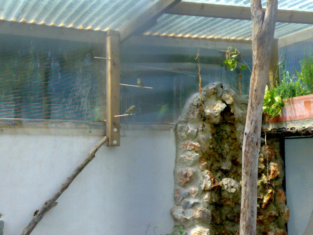 01052008073.jpg