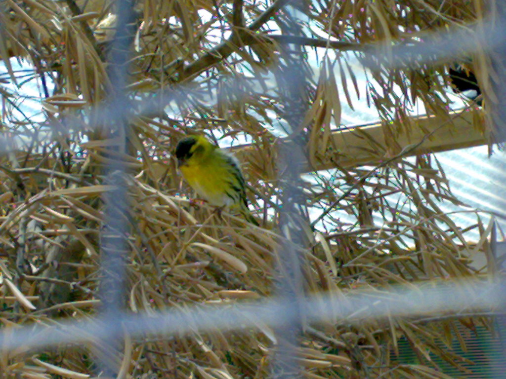 01052008076.jpg
