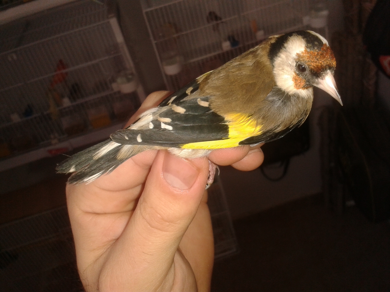 20130107_141453.jpg