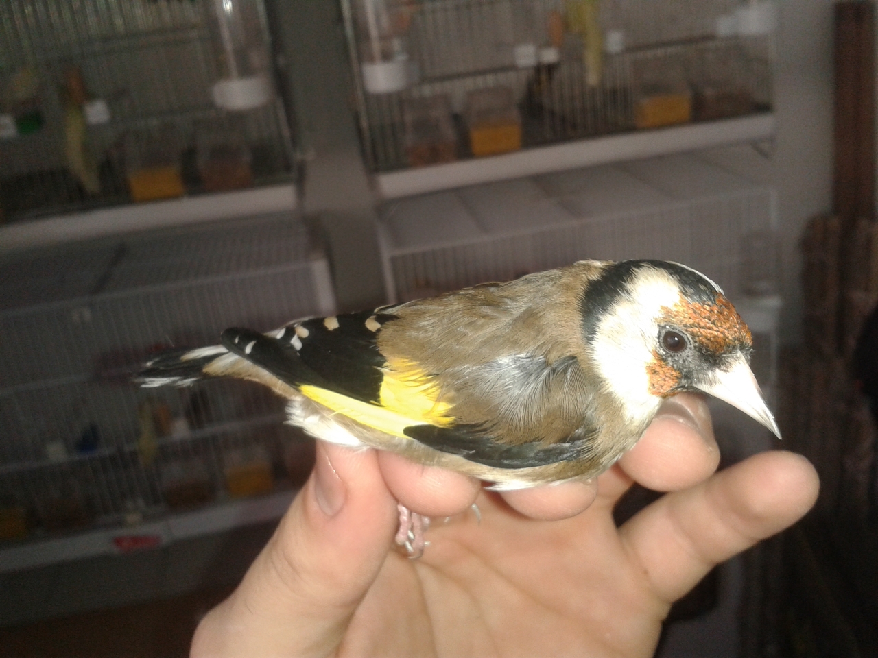 20130107_141435.jpg