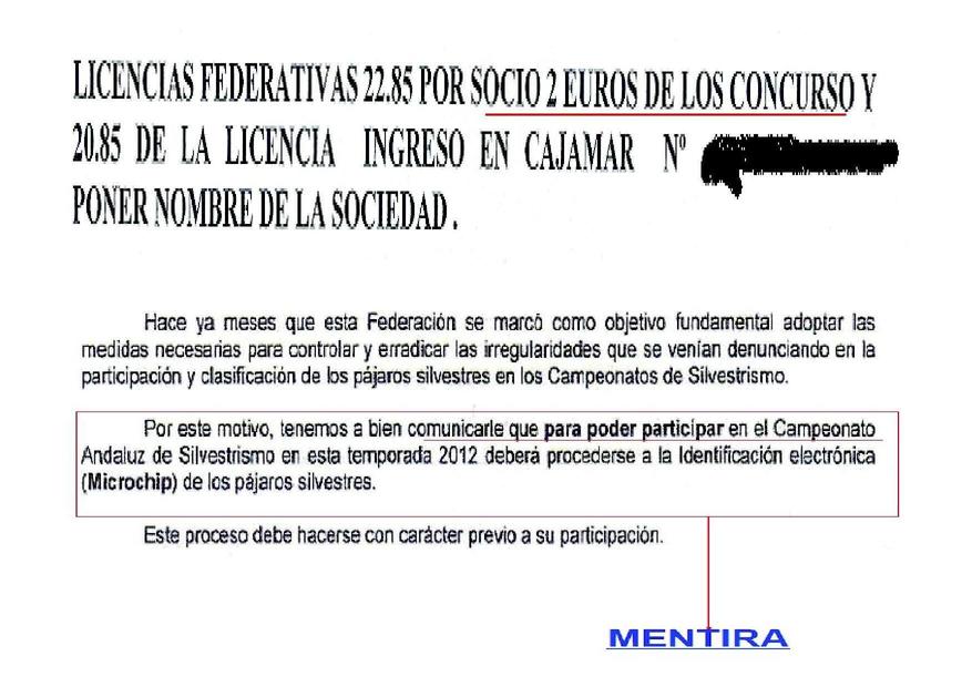 jilgero.es 2. jpg.jpg