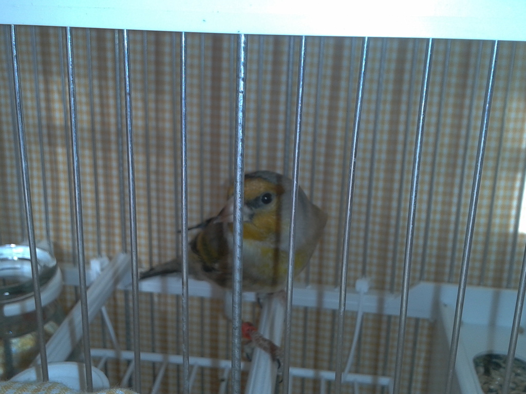 2013-01-12 11.39.01.jpg