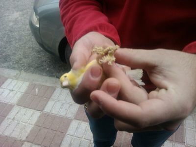 IMG-20130112-WA0006.jpg
