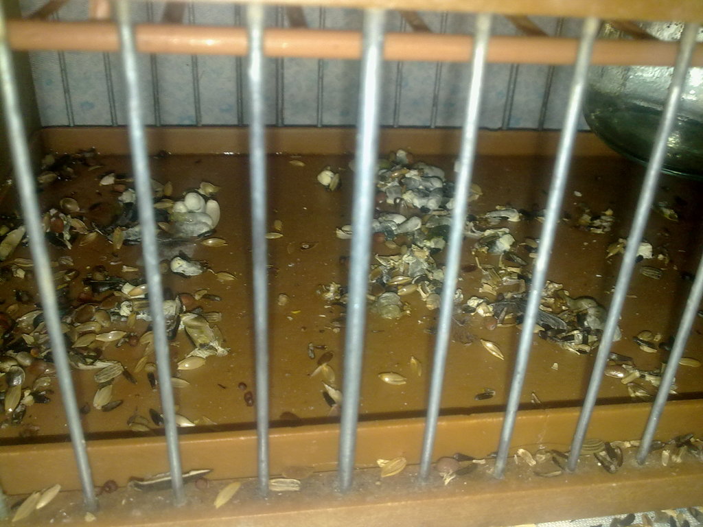 28012011652.jpg