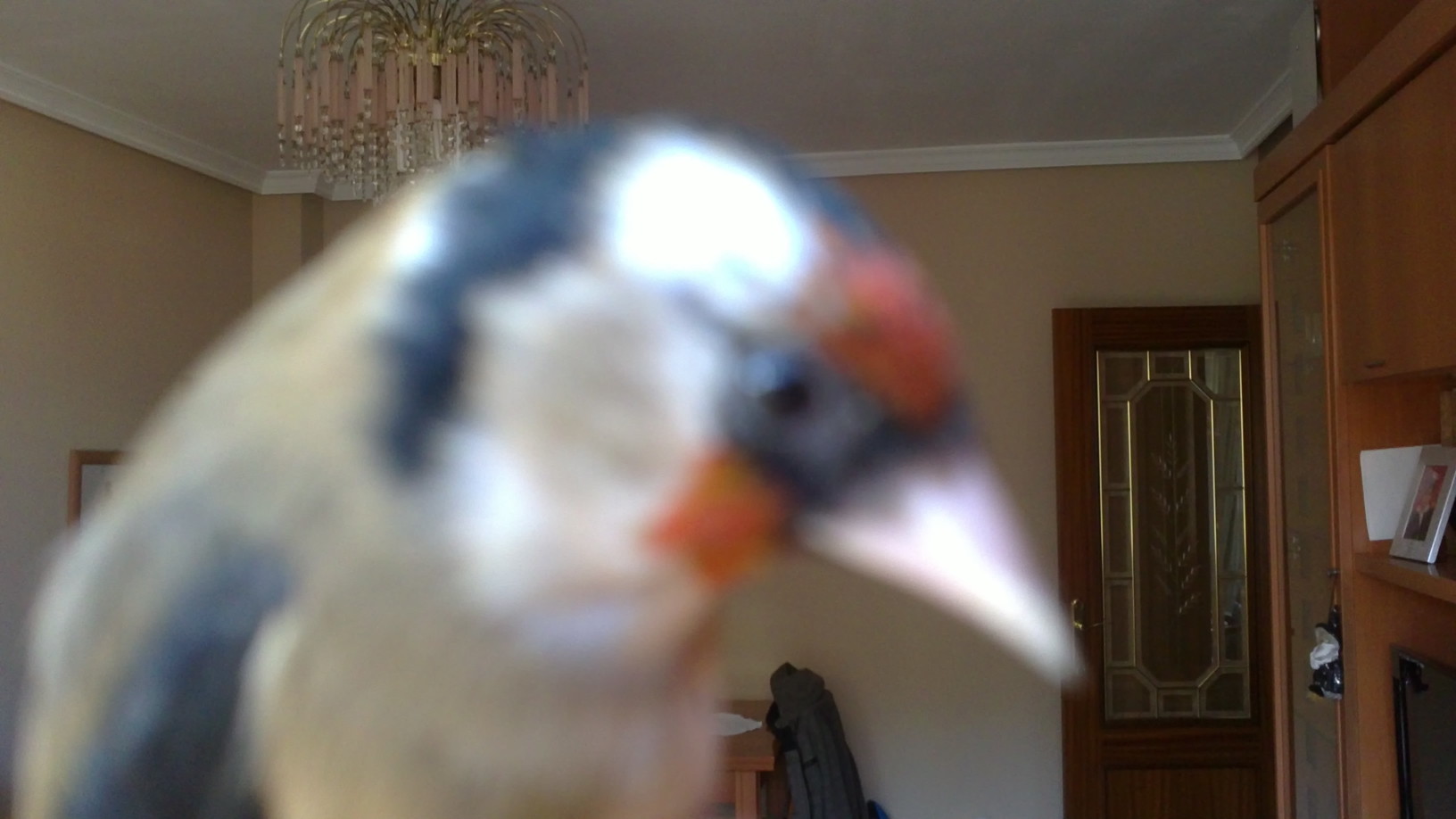 10012013135.JPG