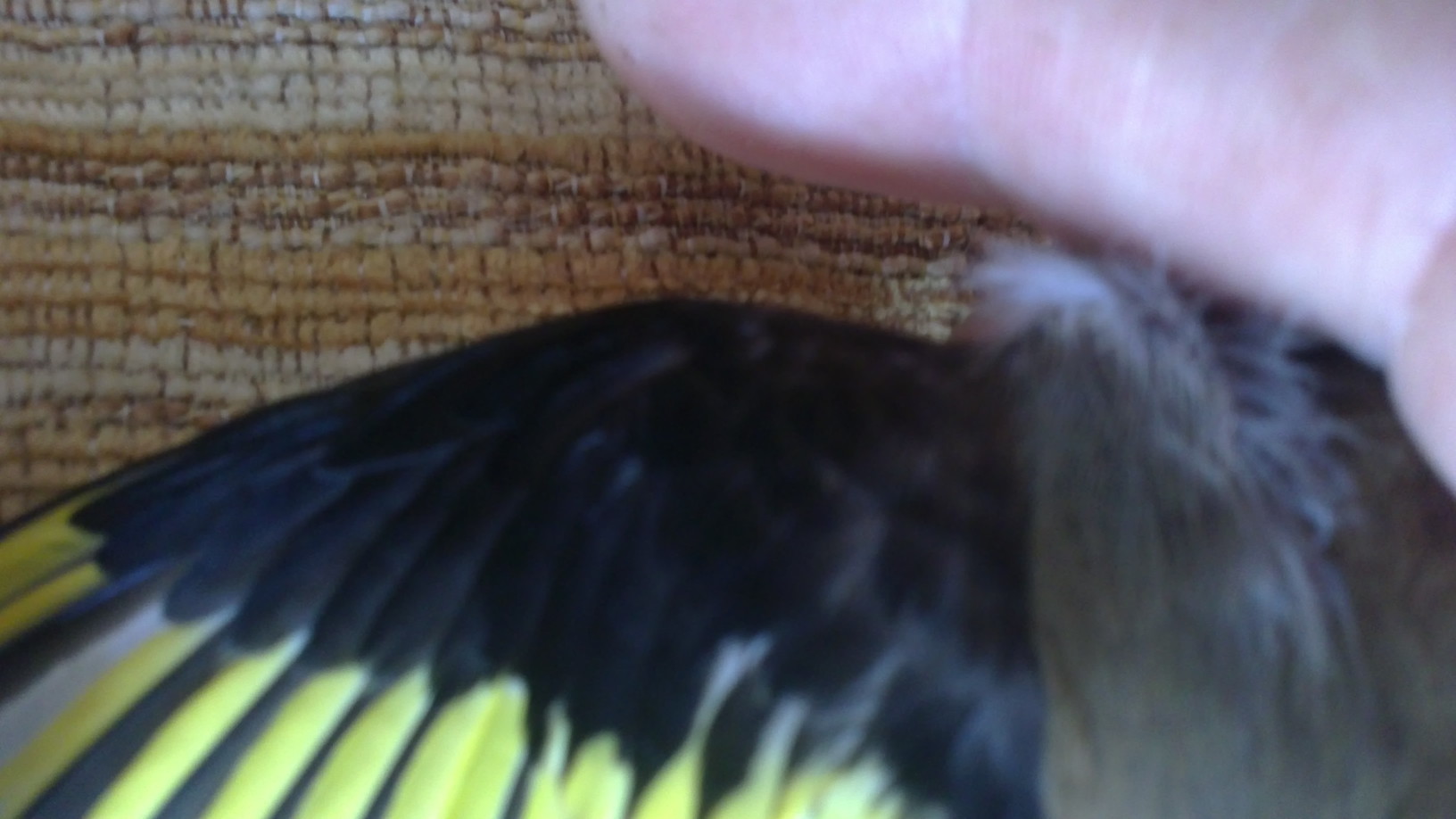 10012013138.JPG