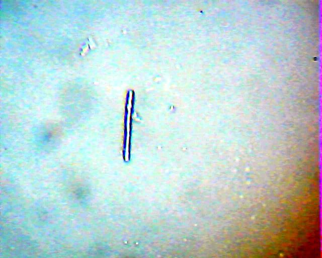 2013_01_19_10_07_45_203.jpg