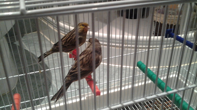 20130118_203629.jpg