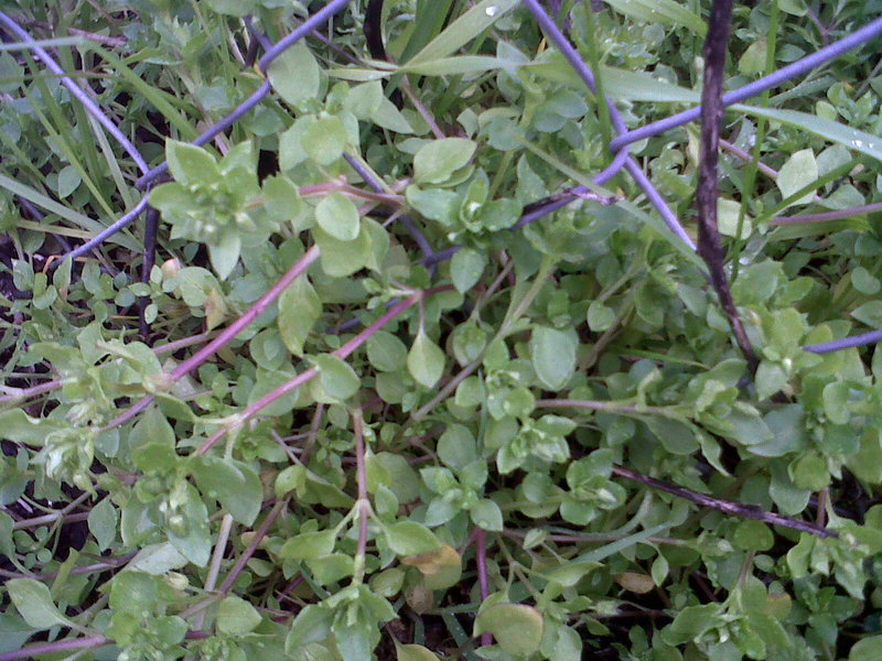 IMG-20130122-00112.jpg