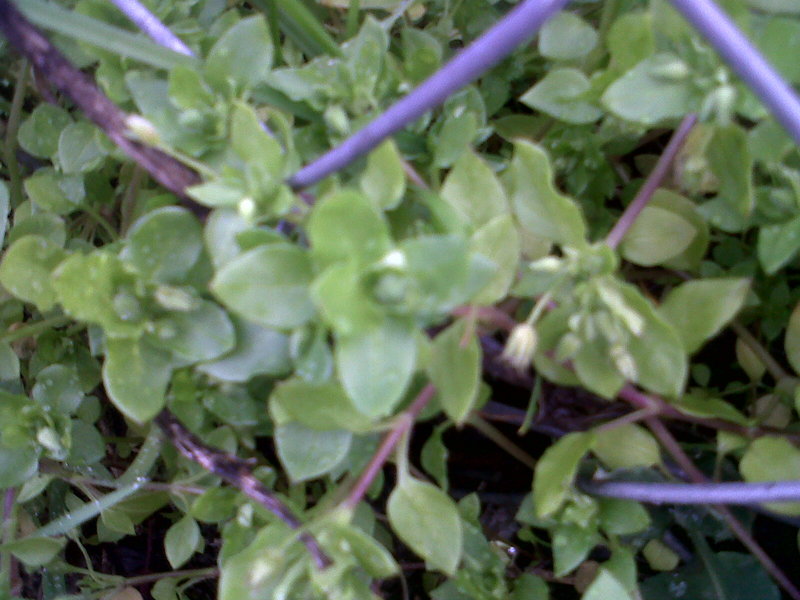 IMG-20130122-00113.jpg