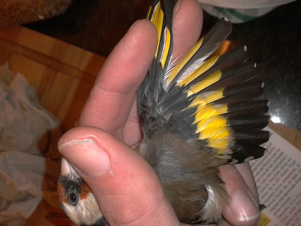 2013-01-24 16.12.57.jpg