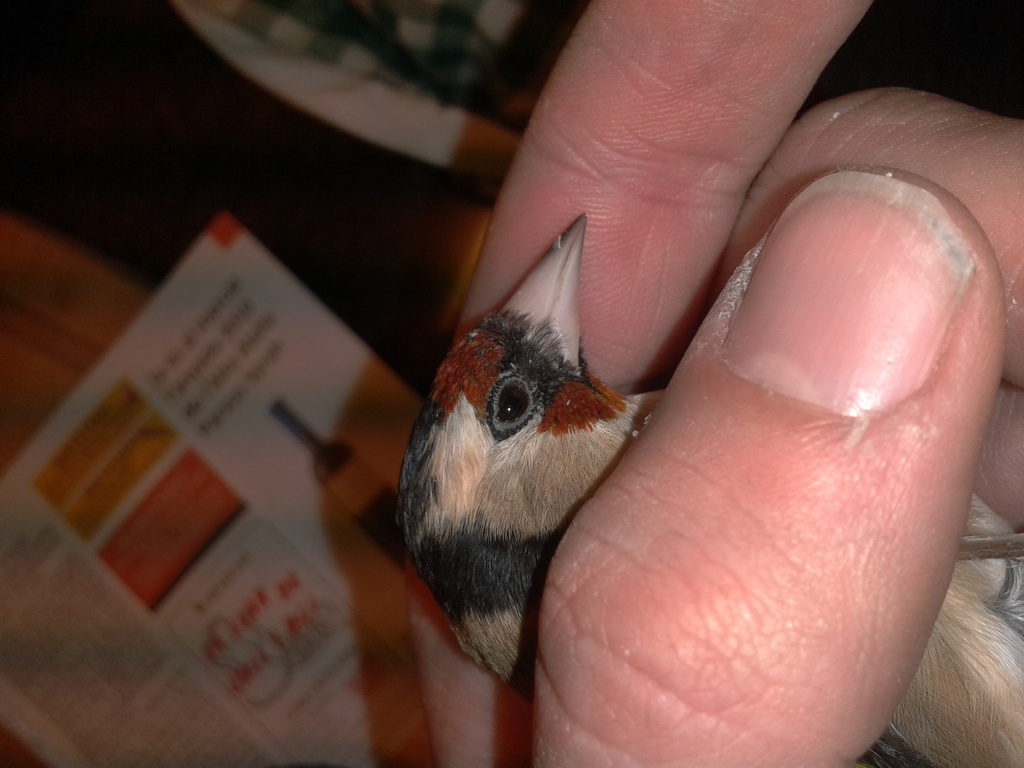 2013-01-24 16.13.31.jpg