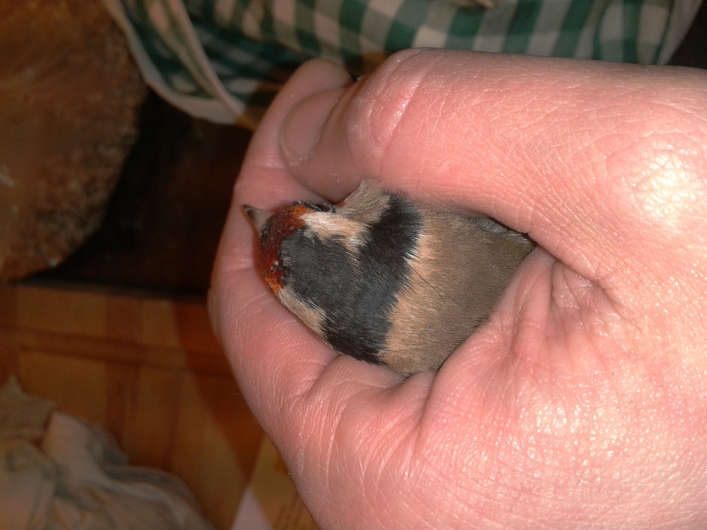 2013-01-24 16.13.49.jpg