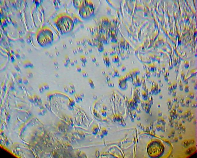 2013_01_25_19_20_15_418.jpg