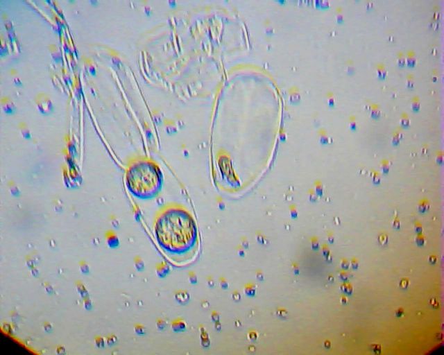 2013_01_20_16_59_25_843.jpg