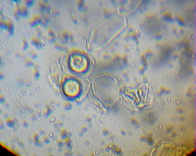 2013_01_25_19_24_35_191.jpg