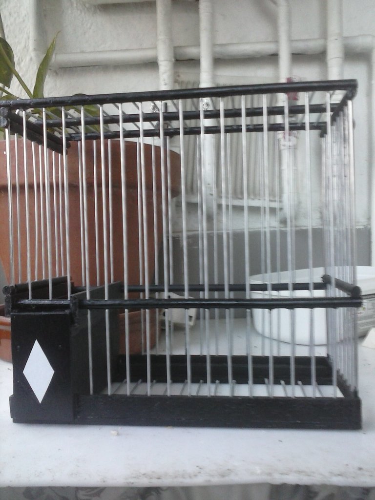 CAM00275.jpg