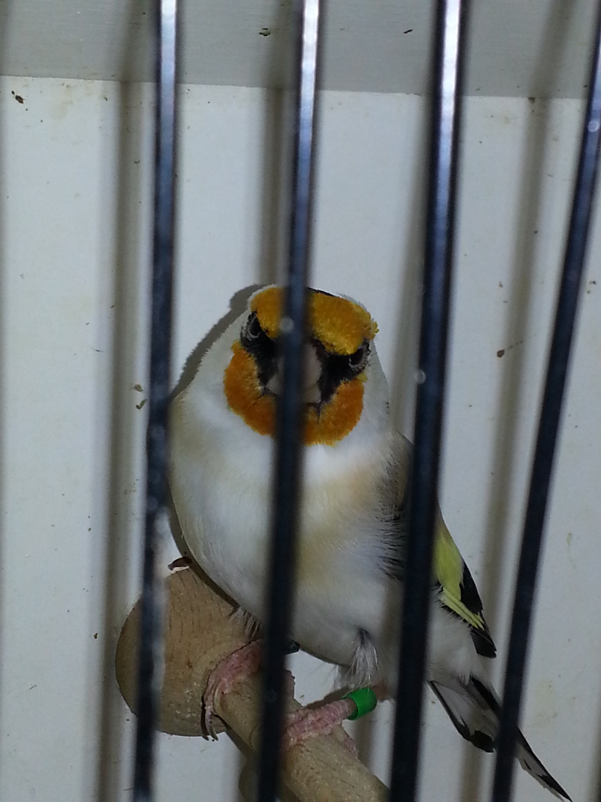 20130126_101041.jpg