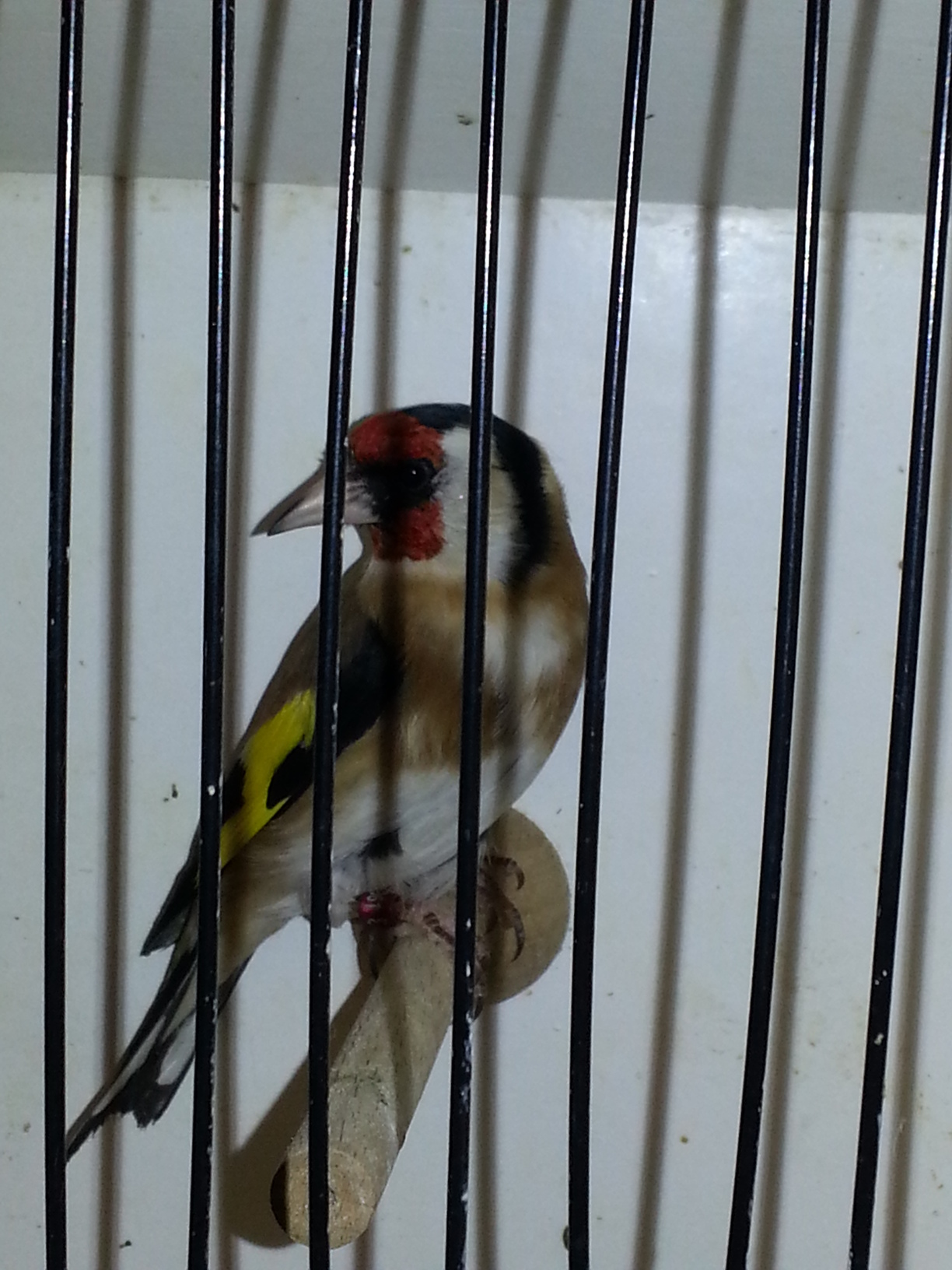 20130126_101210.jpg