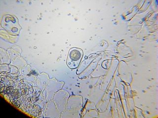 2013_01_26_00_27_29_19.jpg