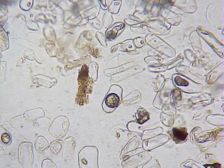 2013_01_26_16_18_40_955.jpg