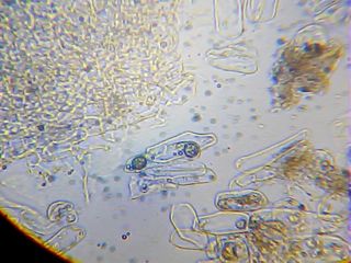 2013_01_26_00_34_05_96.jpg