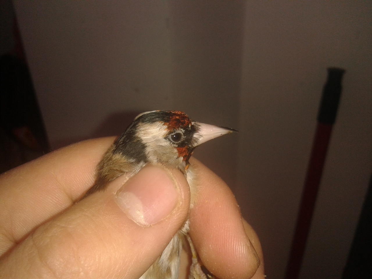 20130127_135121.jpg