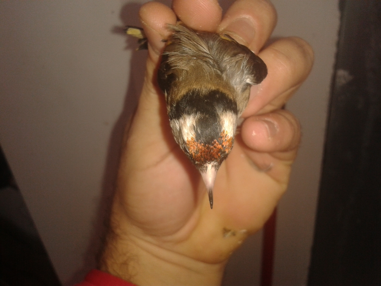 20130127_135158.jpg