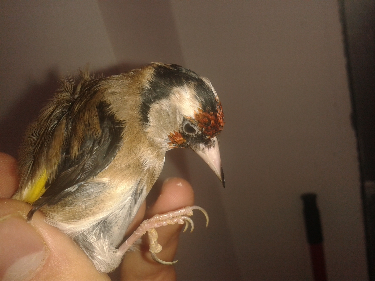 20130127_135203.jpg