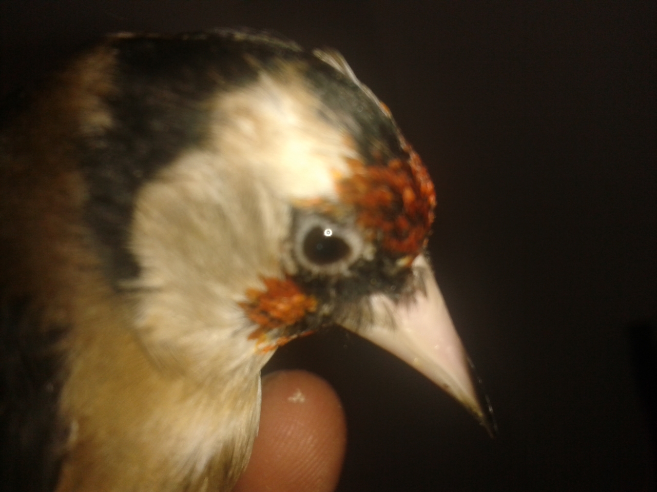 20130127_135210.jpg