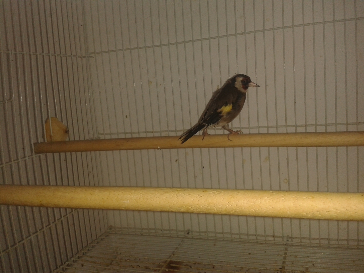 20130127_135536.jpg