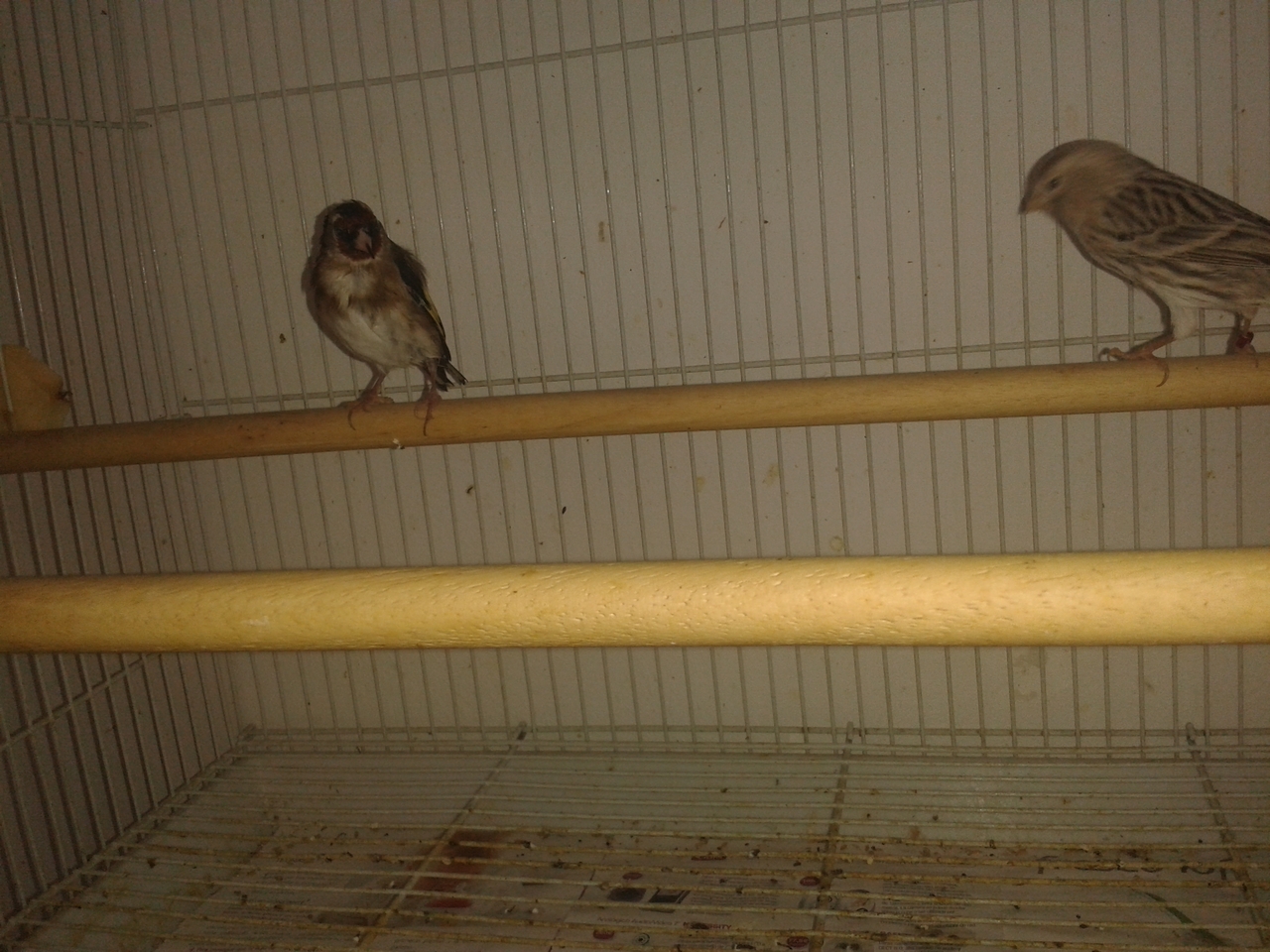 20130127_135546.jpg