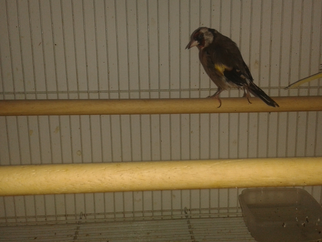 20130127_135618.jpg