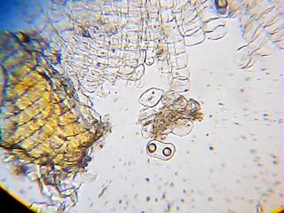 2013_01_27_15_41_31_562.jpg