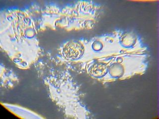 2013_01_26_20_50_32_393.jpg