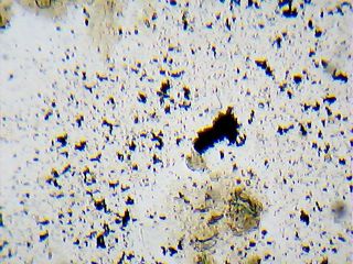 2013_01_27_20_28_51_453.jpg