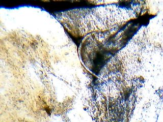 2013_01_27_20_56_31_669.jpg