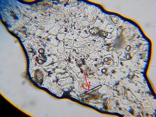 2013_01_27_19_07_52_399.jpg
