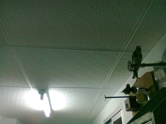 IMG-20120724-WA0003.jpg