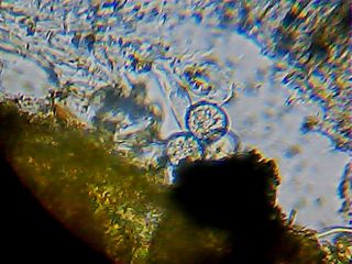 2013_01_30_19_51_57_932.jpg