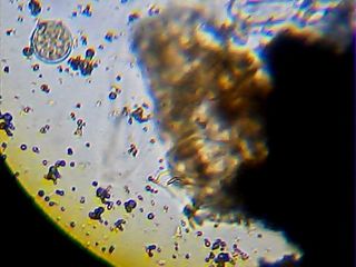 2013_01_30_20_01_59_495.jpg